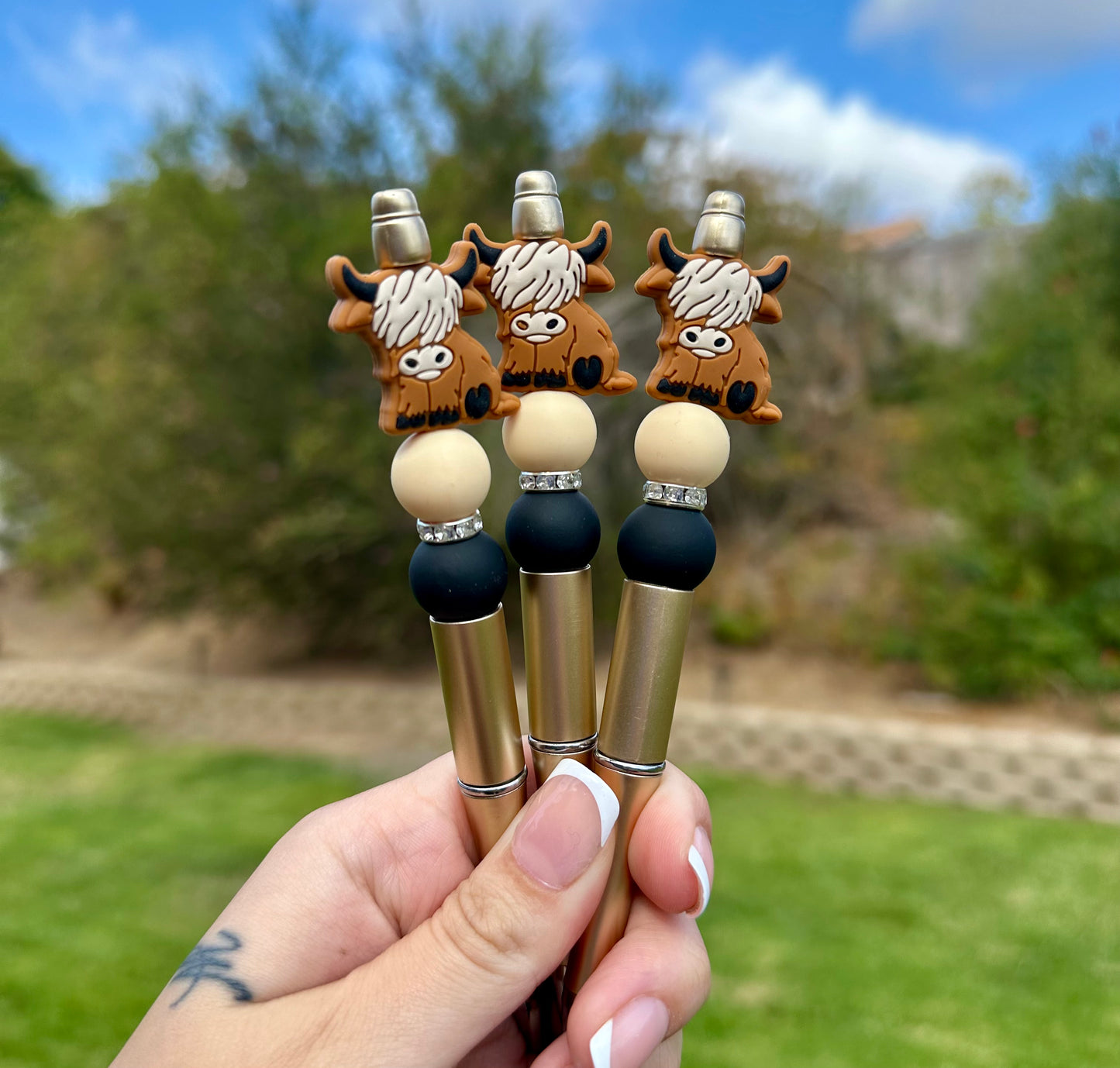 Highland cow pens