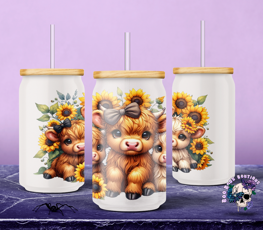 16oz Frosted Glass Cup 3 highland cows and sunflowers