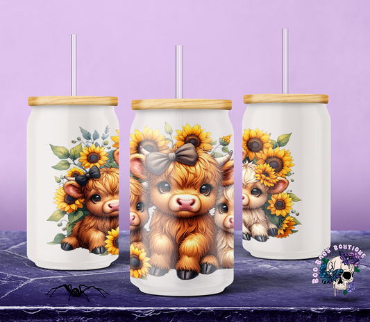 16oz Frosted Glass Cup 3 highland cows and sunflowers